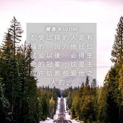 Picture 04 - 雅 各 书 1:12 CUVS - 忍 受 试 探 的 人 是 有 福 的 ， 因 - Bible Verse Picture