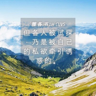 Picture 04 - 雅 各 书 1:14 CUVS - 但 各 人 被 试 探 ， 乃 是 被 自 己 - Bible Verse Picture