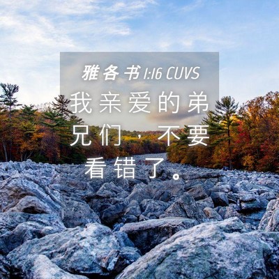Picture 04 - 雅 各 书 1:16 CUVS - 我 亲 爱 的 弟 兄 们 ， 不 要 看 错 - Bible Verse Picture
