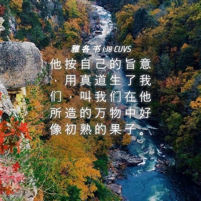 Picture 04 - 雅 各 书 1:18 CUVS - 他 按 自 己 的 旨 意 ， 用 真 道 生 - Bible Verse Picture