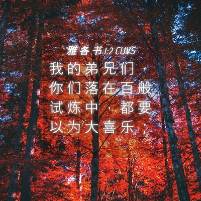Picture 04 - 雅 各 书 1:2 CUVS - 我 的 弟 兄 们 ， 你 们 落 在 百 般 - Bible Verse Picture