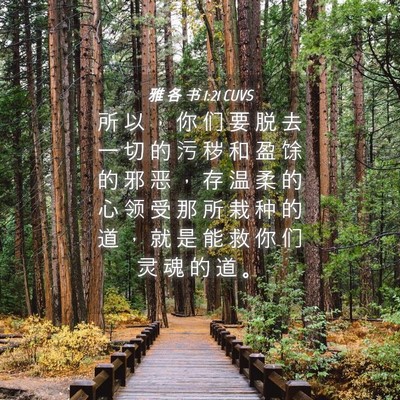 Picture 04 - 雅 各 书 1:21 CUVS - 所 以 ， 你 们 要 脱 去 一 切 的 污 - Bible Verse Picture