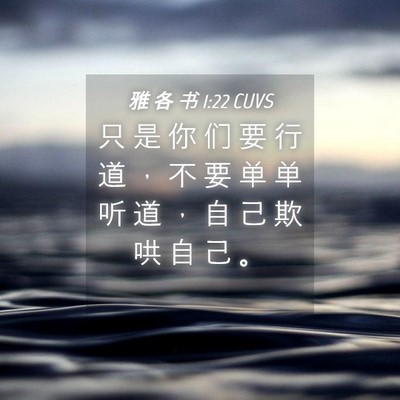 Picture 04 - 雅 各 书 1:22 CUVS - 只 是 你 们 要 行 道 ， 不 要 单 单 - Bible Verse Picture