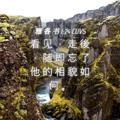 Picture 04 - 雅 各 书 1:24 CUVS - 看 见 ， 走 後 ， 随 即 忘 了 他 的 - Bible Verse Picture