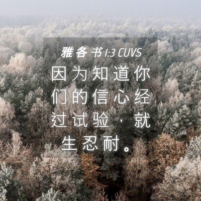 Picture 04 - 雅 各 书 1:3 CUVS - 因 为 知 道 你 们 的 信 心 经 过 试 - Bible Verse Picture