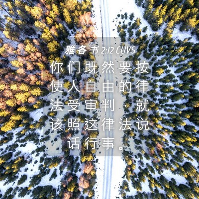 Picture 04 - 雅 各 书 2:12 CUVS - 你 们 既 然 要 按 使 人 自 由 的 律 - Bible Verse Picture