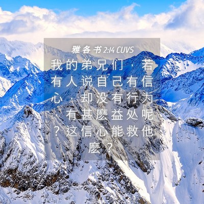 Picture 04 - 雅 各 书 2:14 CUVS - 我 的 弟 兄 们 ， 若 有 人 说 自 己 - Bible Verse Picture