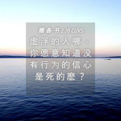 Picture 04 - 雅 各 书 2:20 CUVS - 虚 浮 的 人 哪 ， 你 愿 意 知 道 没 - Bible Verse Picture