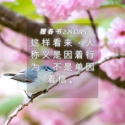 Picture 04 - 雅 各 书 2:24 CUVS - 这 样 看 来 ， 人 称 义 是 因 着 行 - Bible Verse Picture