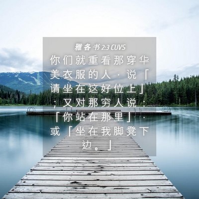 Picture 04 - 雅 各 书 2:3 CUVS - 你 们 就 重 看 那 穿 华 美 衣 服 的 - Bible Verse Picture