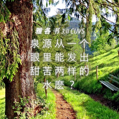 Picture 04 - 雅 各 书 3:11 CUVS - 泉 源 从 一 个 眼 里 能 发 出 甜 苦 - Bible Verse Picture