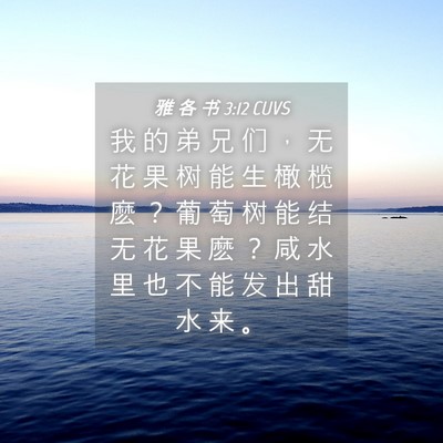 Picture 04 - 雅 各 书 3:12 CUVS - 我 的 弟 兄 们 ， 无 花 果 树 能 生 - Bible Verse Picture
