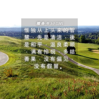 Picture 04 - 雅 各 书 3:17 CUVS - 惟 独 从 上 头 来 的 智 慧 ， 先 是 - Bible Verse Picture