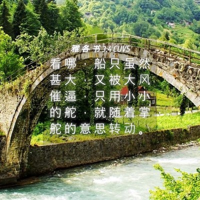 Picture 04 - 雅 各 书 3:4 CUVS - 看 哪 ， 船 只 虽 然 甚 大 ， 又 被 - Bible Verse Picture