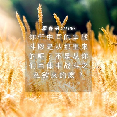 Picture 04 - 雅 各 书 4:1 CUVS - 你 们 中 间 的 争 战 斗 殴 是 从 那 - Bible Verse Picture