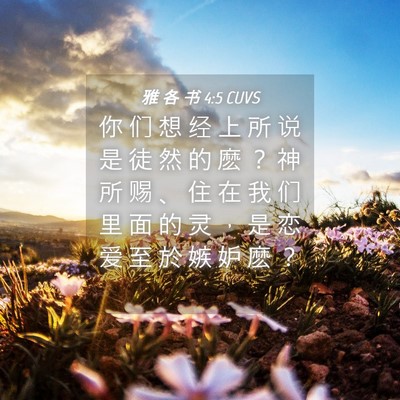 Picture 04 - 雅 各 书 4:5 CUVS - 你 们 想 经 上 所 说 是 徒 然 的 麽 - Bible Verse Picture