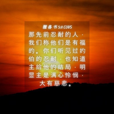 Picture 04 - 雅 各 书 5:11 CUVS - 那 先 前 忍 耐 的 人 ， 我 们 称 他 - Bible Verse Picture