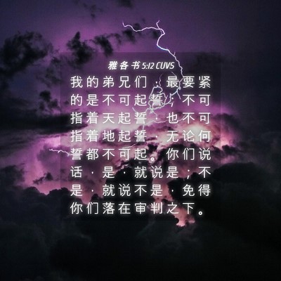 Picture 04 - 雅 各 书 5:12 CUVS - 我 的 弟 兄 们 ， 最 要 紧 的 是 不 - Bible Verse Picture