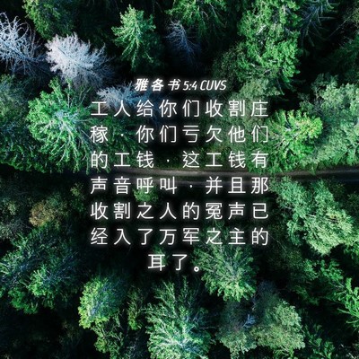 Picture 04 - 雅 各 书 5:4 CUVS - 工 人 给 你 们 收 割 庄 稼 ， 你 们 - Bible Verse Picture