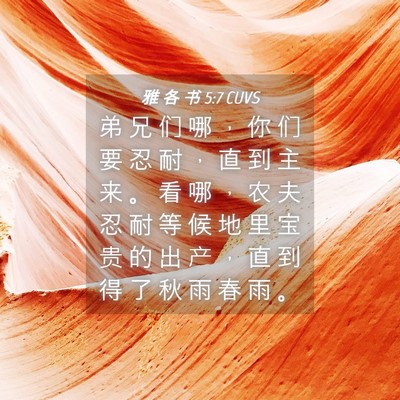 Picture 04 - 雅 各 书 5:7 CUVS - 弟 兄 们 哪 ， 你 们 要 忍 耐 ， 直 - Bible Verse Picture