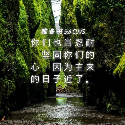 Picture 04 - 雅 各 书 5:8 CUVS - 你 们 也 当 忍 耐 ， 坚 固 你 们 的 - Bible Verse Picture
