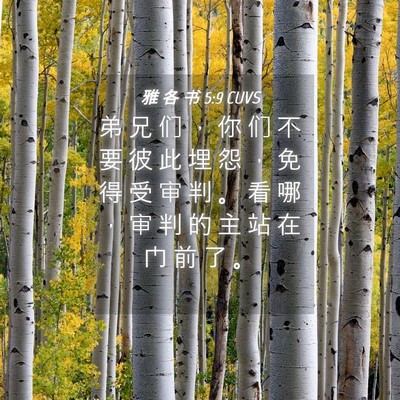 Picture 04 - 雅 各 书 5:9 CUVS - 弟 兄 们 ， 你 们 不 要 彼 此 埋 怨 - Bible Verse Picture