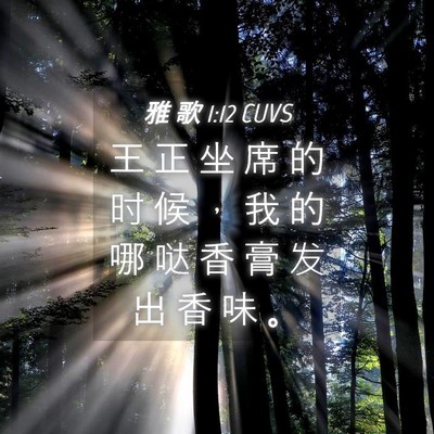 Picture 04 - 雅 歌 1:12 CUVS - 王 正 坐 席 的 时 候 ， 我 的 哪 哒 - Bible Verse Picture