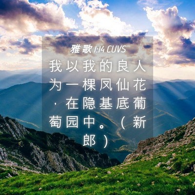 Picture 04 - 雅 歌 1:14 CUVS - 我 以 我 的 良 人 为 一 棵 凤 仙 花 - Bible Verse Picture