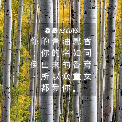 Picture 04 - 雅 歌 1:3 CUVS - 你 的 膏 油 馨 香 ； 你 的 名 如 同 - Bible Verse Picture