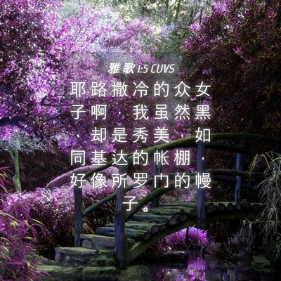 Picture 04 - 雅 歌 1:5 CUVS - 耶 路 撒 冷 的 众 女 子 啊 ， 我 虽 - Bible Verse Picture