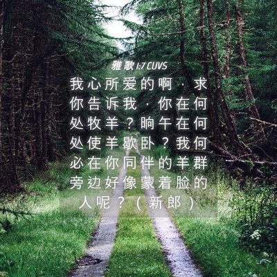 Picture 04 - 雅 歌 1:7 CUVS - 我 心 所 爱 的 啊 ， 求 你 告 诉 我 - Bible Verse Picture