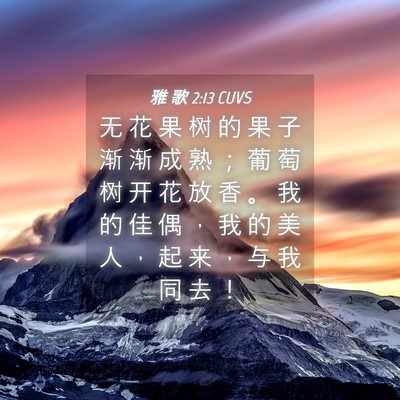 Picture 04 - 雅 歌 2:13 CUVS - 无 花 果 树 的 果 子 渐 渐 成 熟 ； - Bible Verse Picture