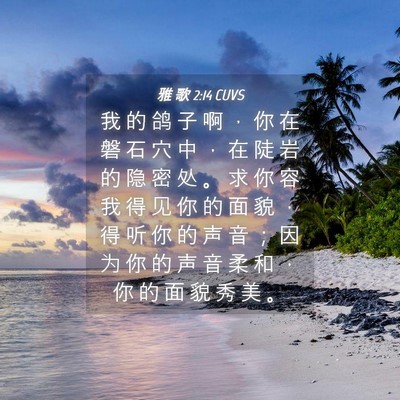 Picture 04 - 雅 歌 2:14 CUVS - 我 的 鸽 子 啊 ， 你 在 磐 石 穴 中 - Bible Verse Picture