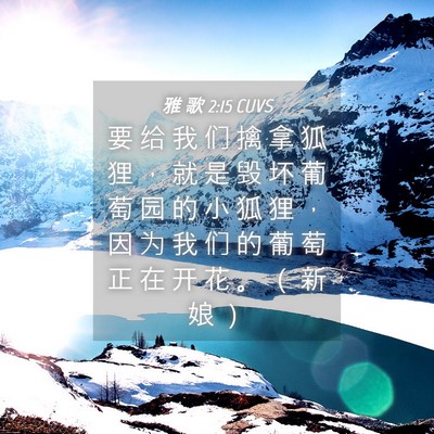 Picture 04 - 雅 歌 2:15 CUVS - 要 给 我 们 擒 拿 狐 狸 ， 就 是 毁 - Bible Verse Picture