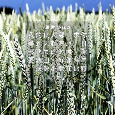 Picture 04 - 雅 歌 2:17 CUVS - 我 的 良 人 哪 ， 求 你 等 到 天 起 - Bible Verse Picture
