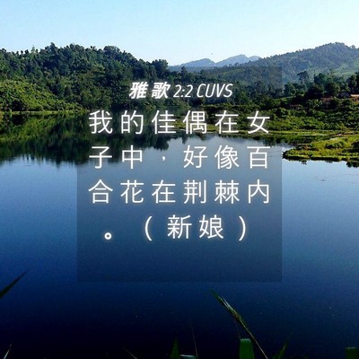 Picture 04 - 雅 歌 2:2 CUVS - 我 的 佳 偶 在 女 子 中 ， 好 像 百 - Bible Verse Picture