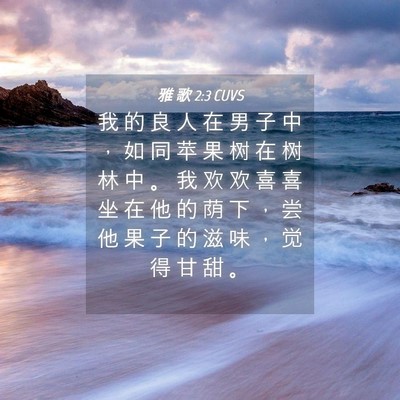 Picture 04 - 雅 歌 2:3 CUVS - 我 的 良 人 在 男 子 中 ， 如 同 苹 - Bible Verse Picture