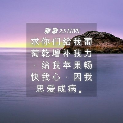 Picture 04 - 雅 歌 2:5 CUVS - 求 你 们 给 我 葡 萄 乾 增 补 我 力 - Bible Verse Picture