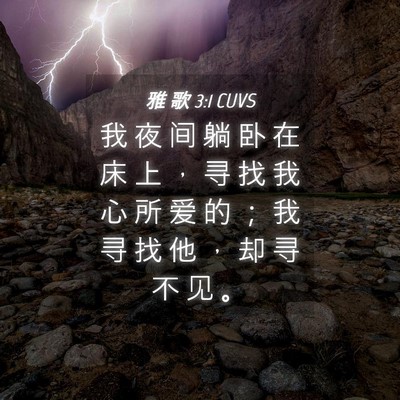 Picture 04 - 雅 歌 3:1 CUVS - 我 夜 间 躺 卧 在 床 上 ， 寻 找 我 - Bible Verse Picture