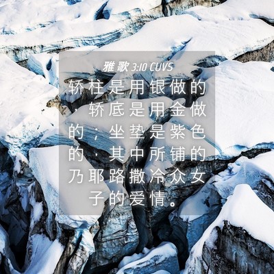 Picture 04 - 雅 歌 3:10 CUVS - 轿 柱 是 用 银 做 的 ， 轿 底 是 用 - Bible Verse Picture