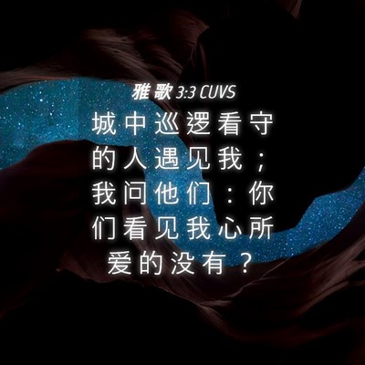 Picture 04 - 雅 歌 3:3 CUVS - 城 中 巡 逻 看 守 的 人 遇 见 我 ； - Bible Verse Picture