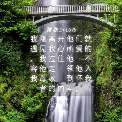 Picture 04 - 雅 歌 3:4 CUVS - 我 刚 离 开 他 们 就 遇 见 我 心 所 - Bible Verse Picture