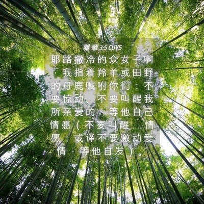 Picture 04 - 雅 歌 3:5 CUVS - 耶 路 撒 冷 的 众 女 子 啊 ， 我 指 - Bible Verse Picture