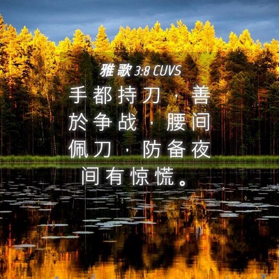 Picture 04 - 雅 歌 3:8 CUVS - 手 都 持 刀 ， 善 於 争 战 ， 腰 间 - Bible Verse Picture