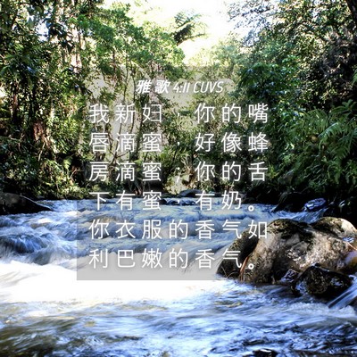 Picture 04 - 雅 歌 4:11 CUVS - 我 新 妇 ， 你 的 嘴 唇 滴 蜜 ， 好 - Bible Verse Picture
