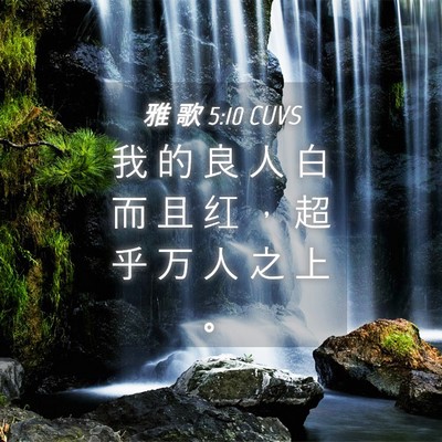 Picture 04 - 雅 歌 5:10 CUVS - 我 的 良 人 白 而 且 红 ， 超 乎 万 - Bible Verse Picture