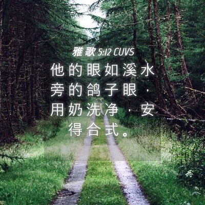 Picture 04 - 雅 歌 5:12 CUVS - 他 的 眼 如 溪 水 旁 的 鸽 子 眼 ， - Bible Verse Picture