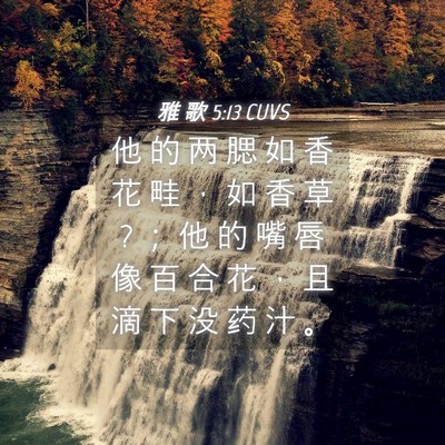 Picture 04 - 雅 歌 5:13 CUVS - 他 的 两 腮 如 香 花 畦 ， 如 香 草 ? - Bible Verse Picture