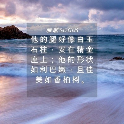 Picture 04 - 雅 歌 5:15 CUVS - 他 的 腿 好 像 白 玉 石 柱 ， 安 在 - Bible Verse Picture