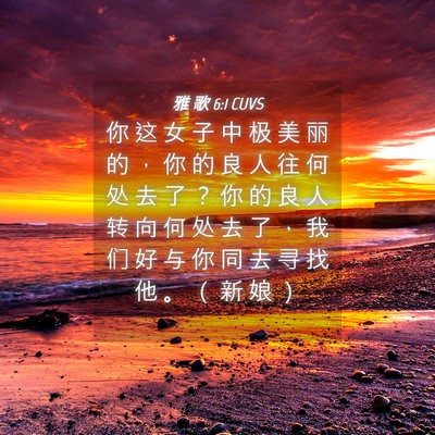 Picture 04 - 雅 歌 6:1 CUVS - 你 这 女 子 中 极 美 丽 的 ， 你 的 - Bible Verse Picture